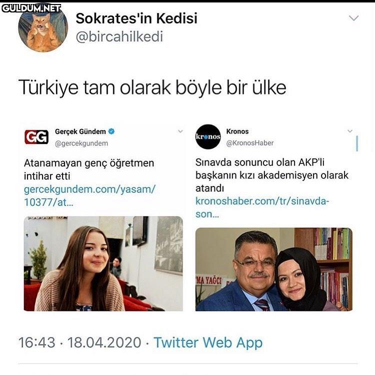 Sokrates'in Kedisi...