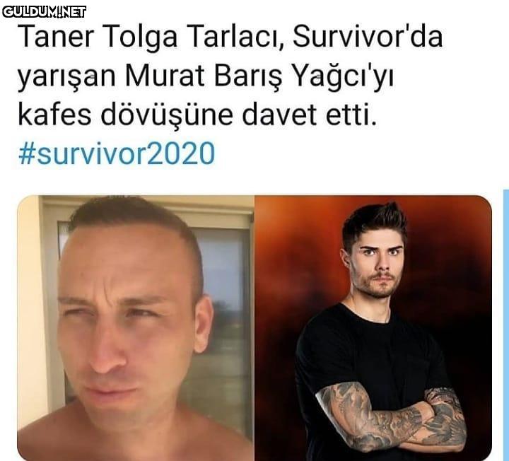 Taner Tolga Tarlacı,...