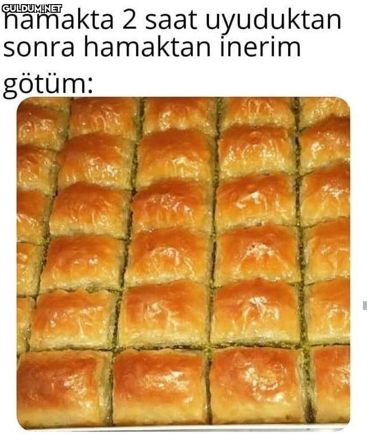 KQALWKQKSMWMAMEMAMSK...