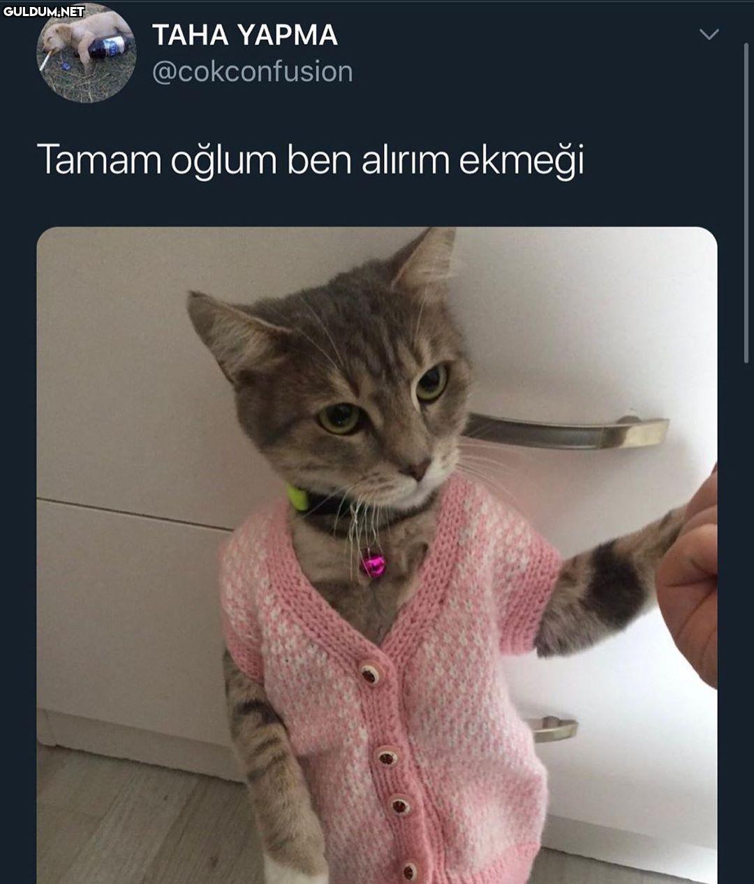 hayır gidemezsin çünkü...