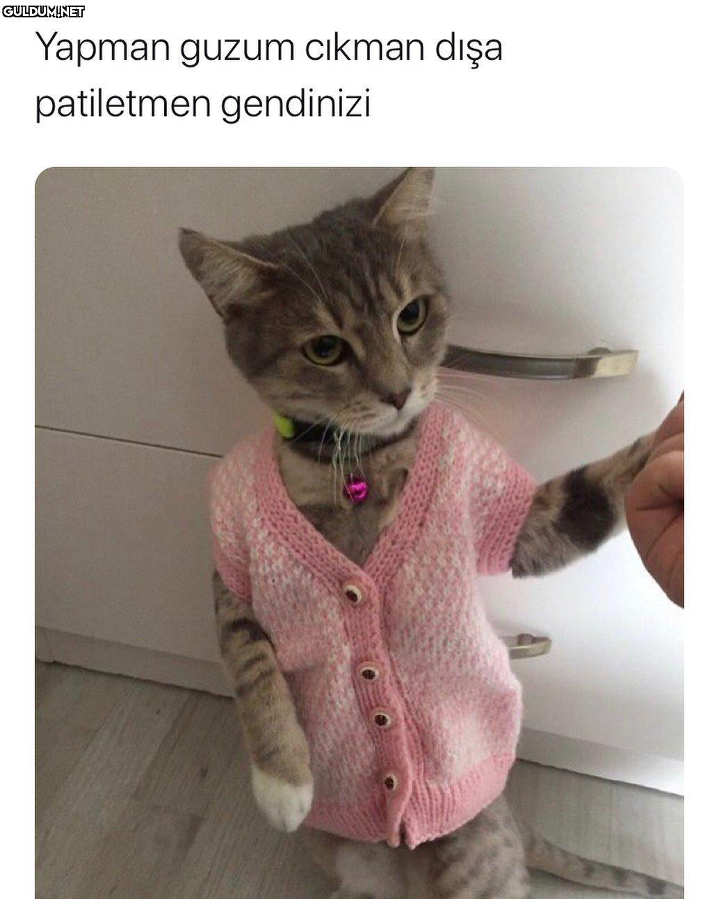 Yapman guzum cıkman dışa...