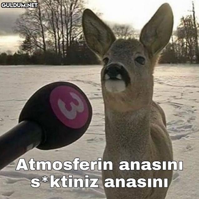 @cukk_oturdu Atmosferin...