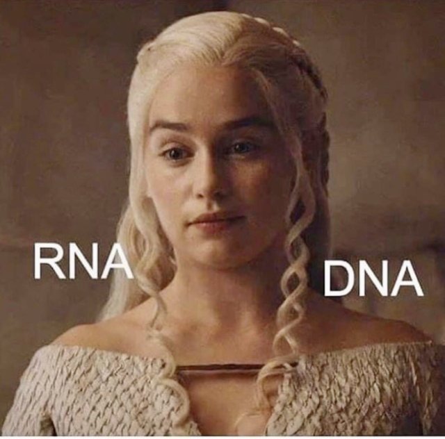 Khaleesi ile evden...