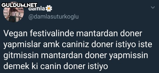 damla* @damlasuturkoglu...