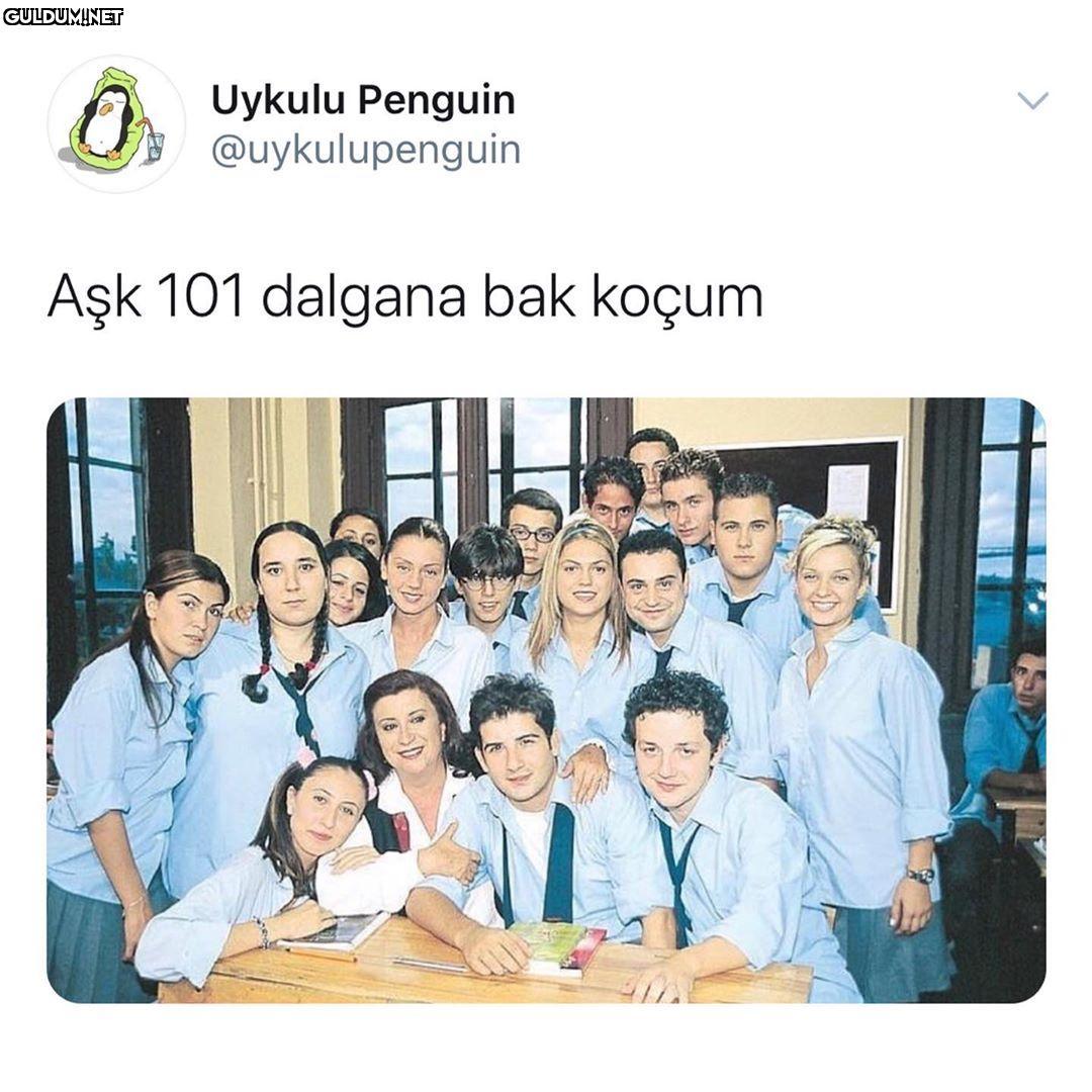 Uykulu Penguin...