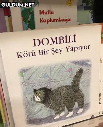 kötü bişey yapan...
