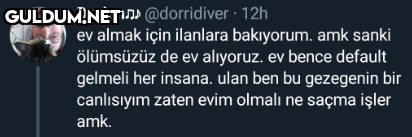 Dorian» @dorridiver · 12h...