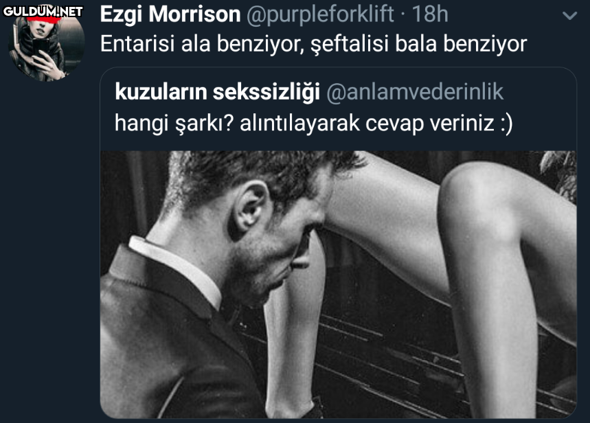 Ezgi Morrison...
