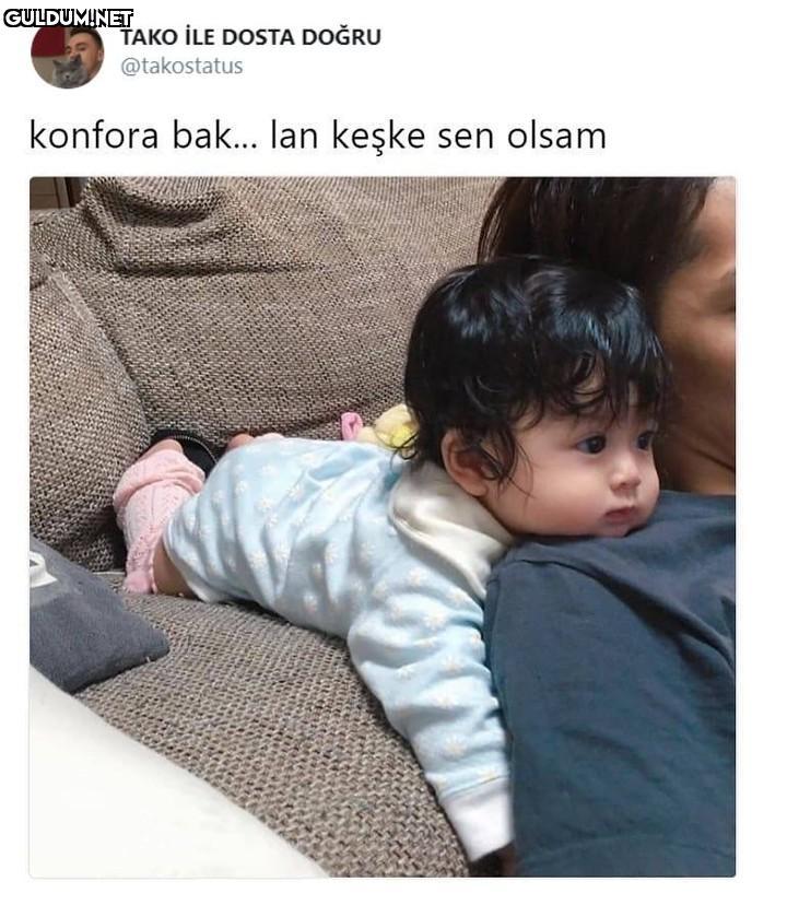 TAKO İLE DOSTA DOĞRU...