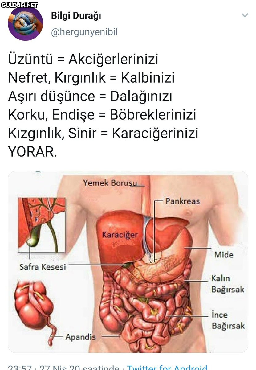 Bilgi Durağı...