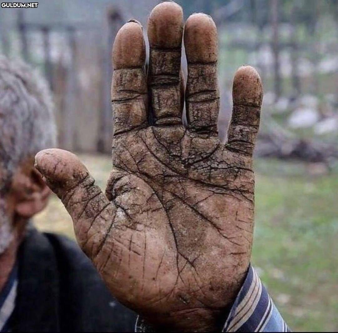 Emeğin ve üretimin...