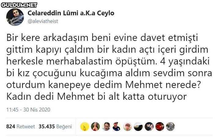 Celareddin Lûmi a.K.a...