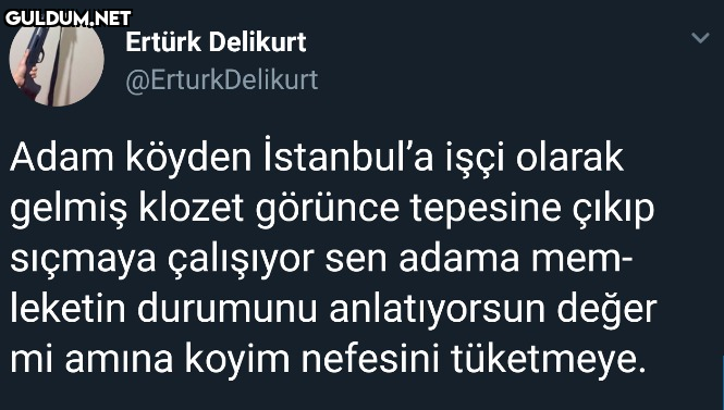 Ertürk Delikurt...