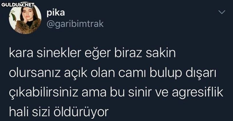pika @garibimtrak kara...