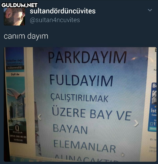 sultandördüncüvites...
