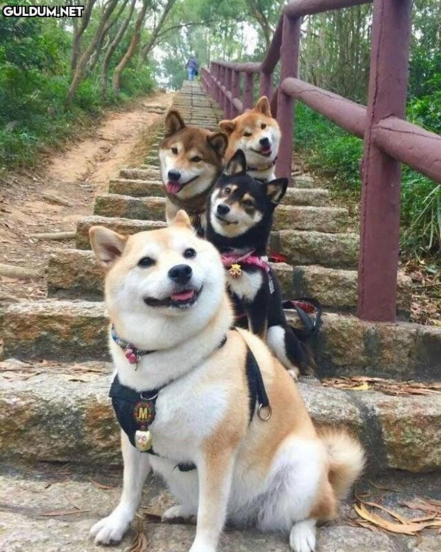 Günaydın 😊