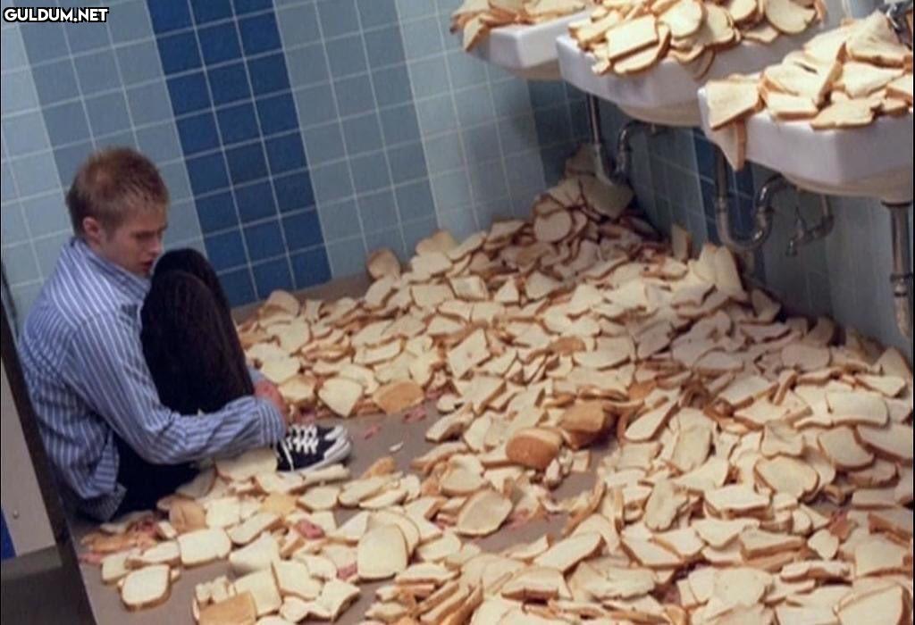 İyi tostlar biriktirdim