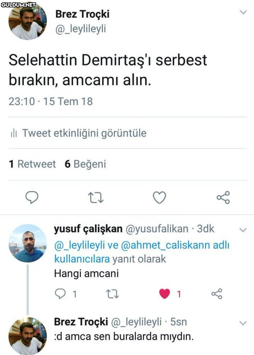 Brez Troçki @_leylileyli...