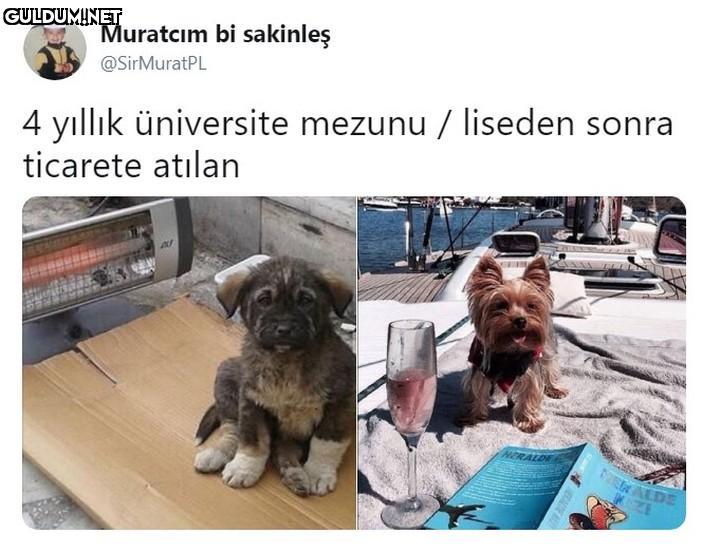 Muratcım bi sakinleş...