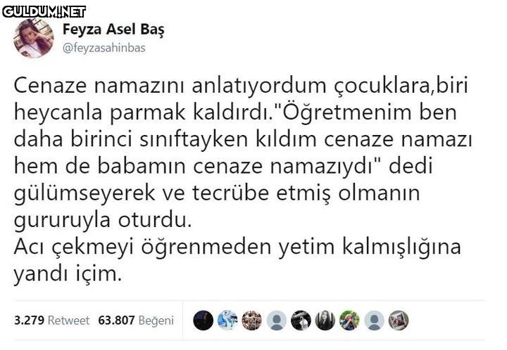 Feyza Asel Baş...