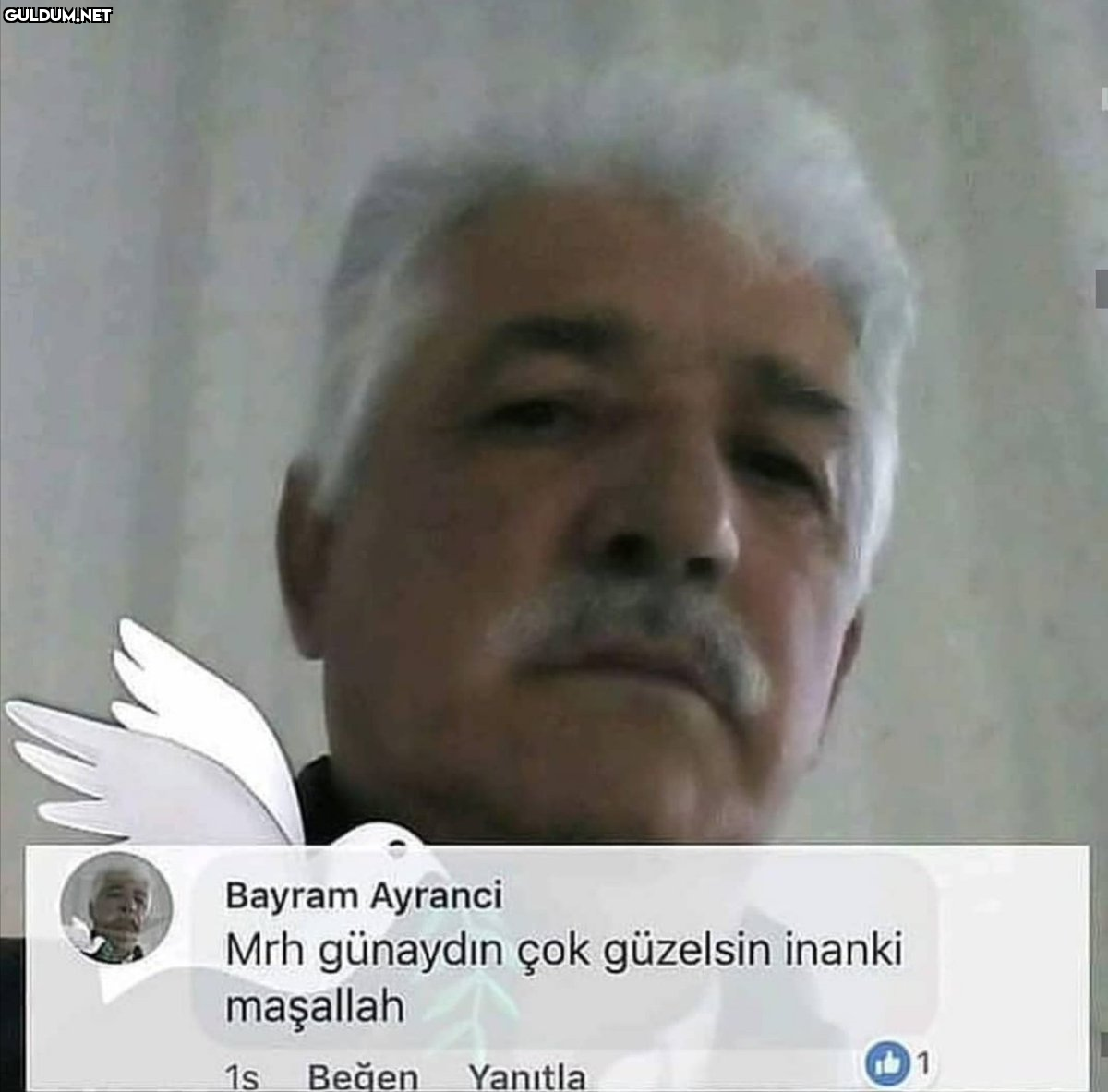 Bayram Ayranci Mrh...