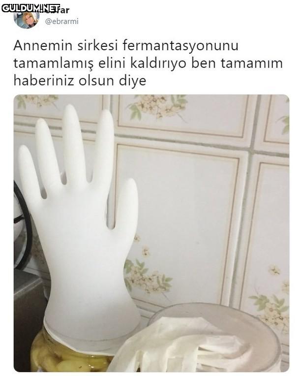 ebrar @ebrarmi Annemin...