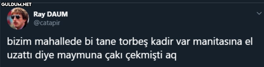 Ray DAUM @catapir bizim...