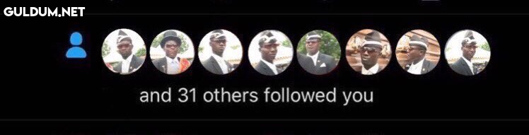 and 31 others followed you