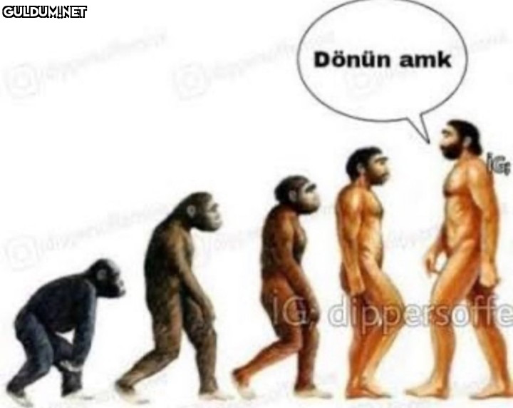 Dönün amk NG dippersoffe