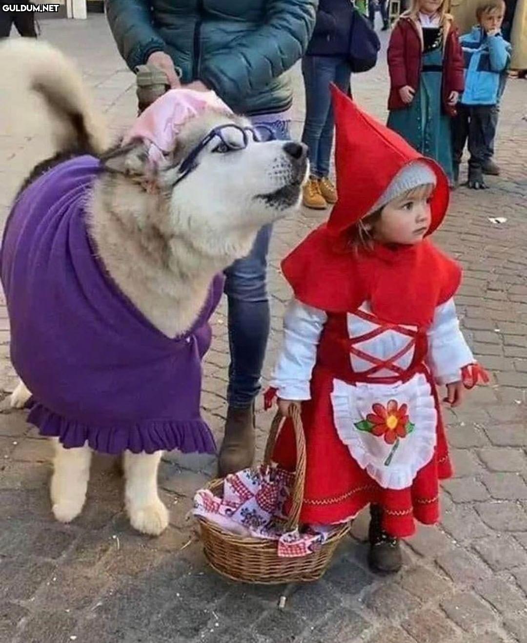 Günaydın 😊