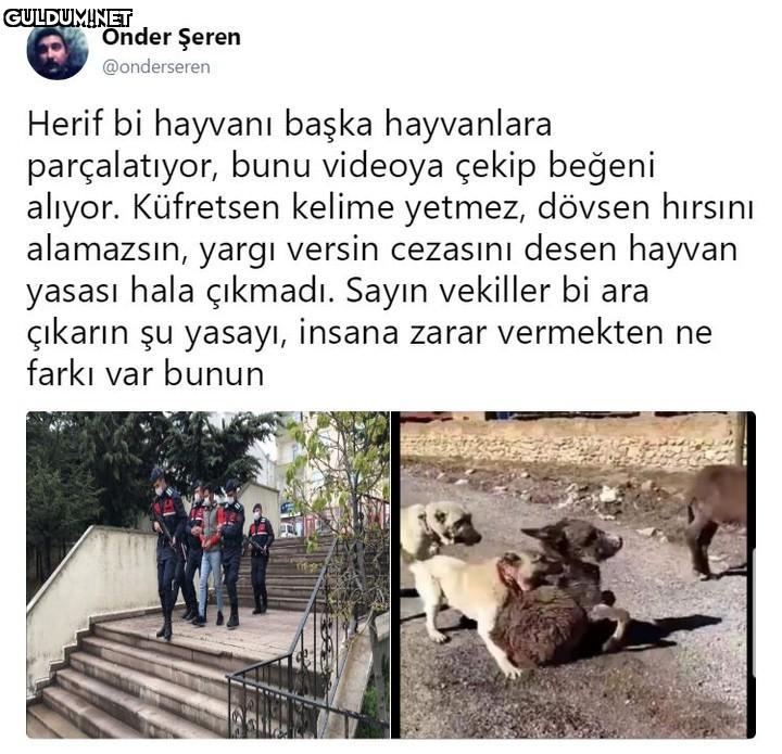 Önder Şeren @onderseren...