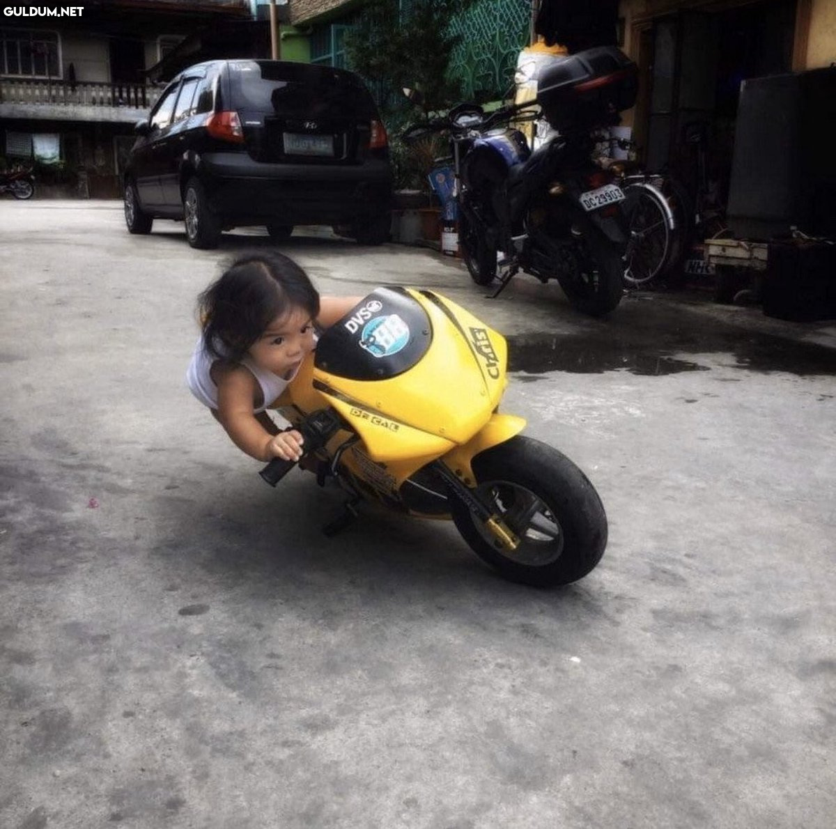 DC 29903 DVSO TH