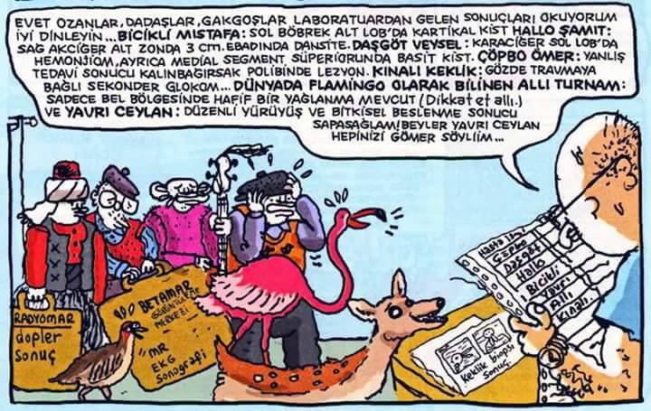 - EVET...