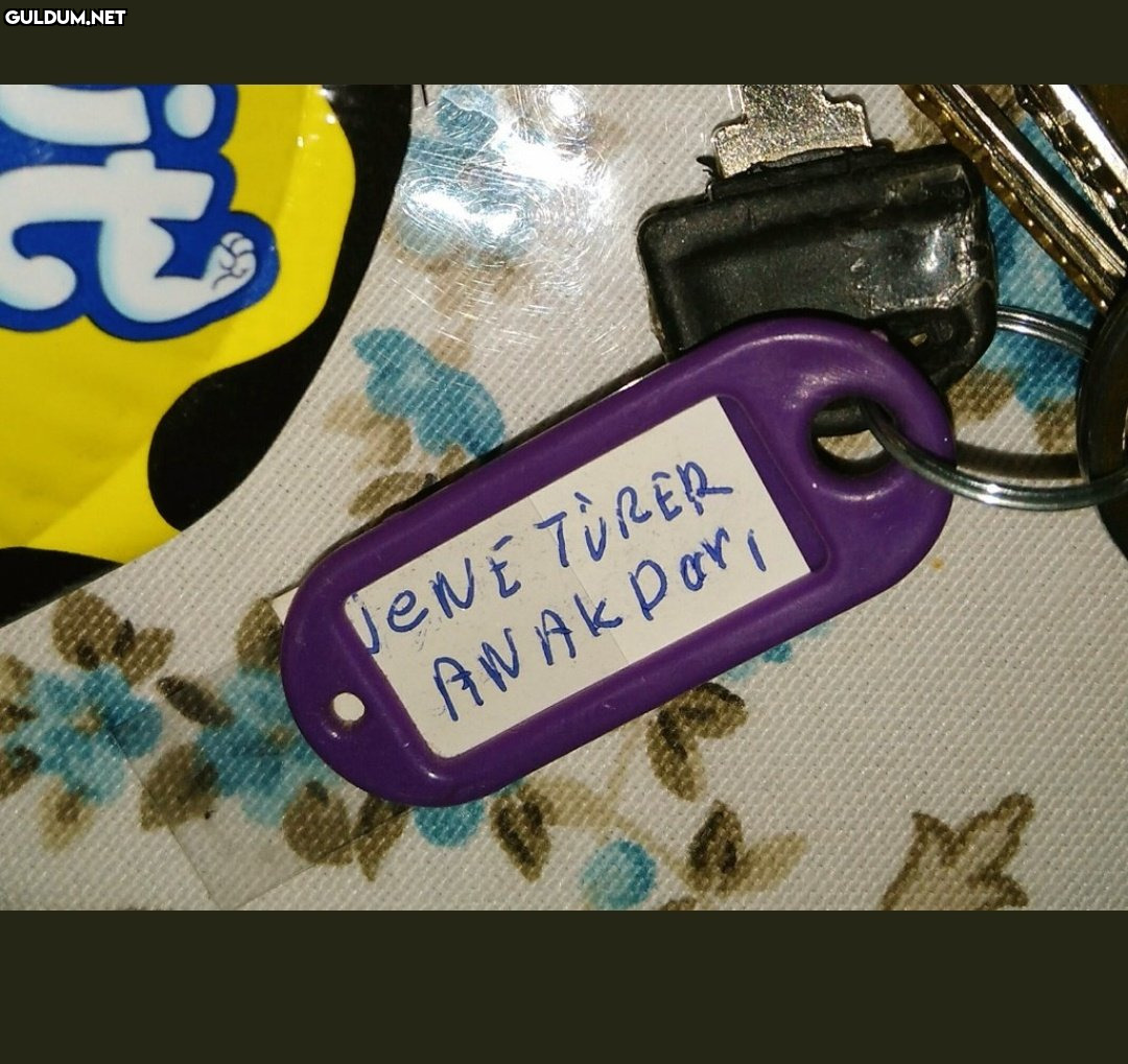 JENE TURER ANAK Por,
