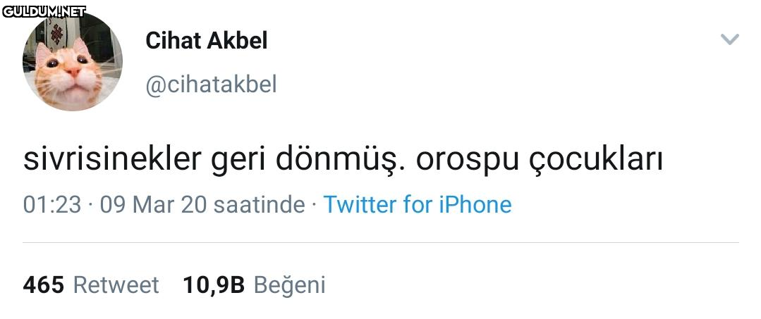 Cihat Akbel @cihatakbel...