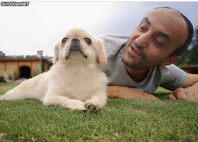 Ersin korkut ve köpeği.