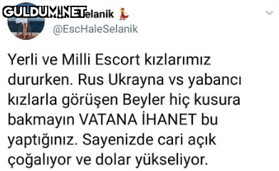 Hale Selanik i...