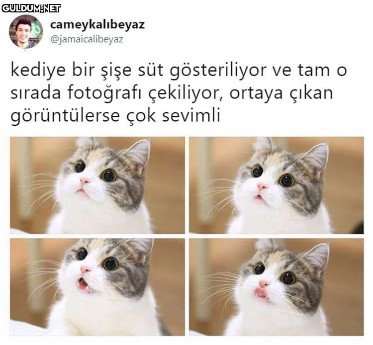 cameykalıbeyaz...