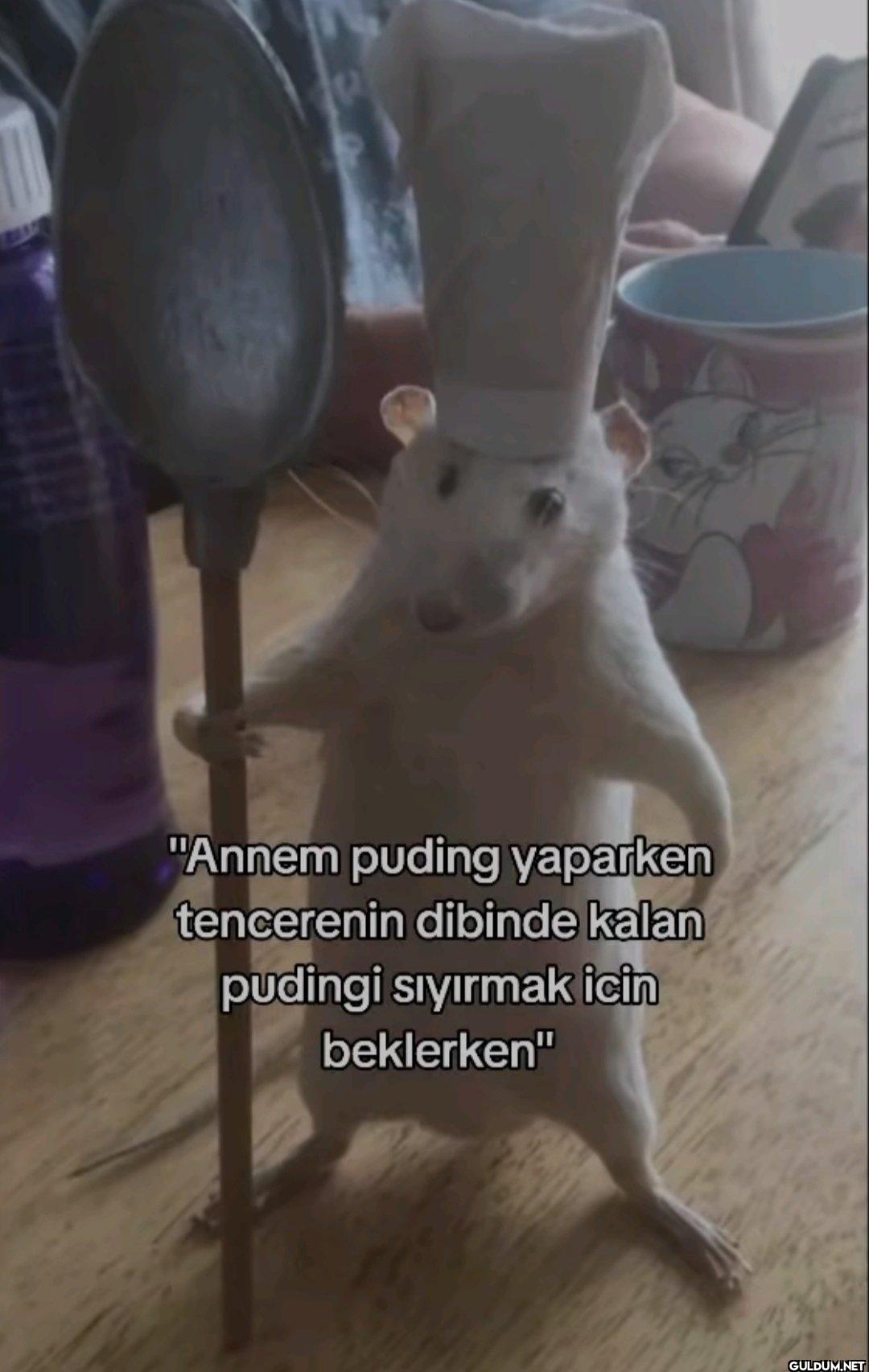 "Annem puding yaparken...