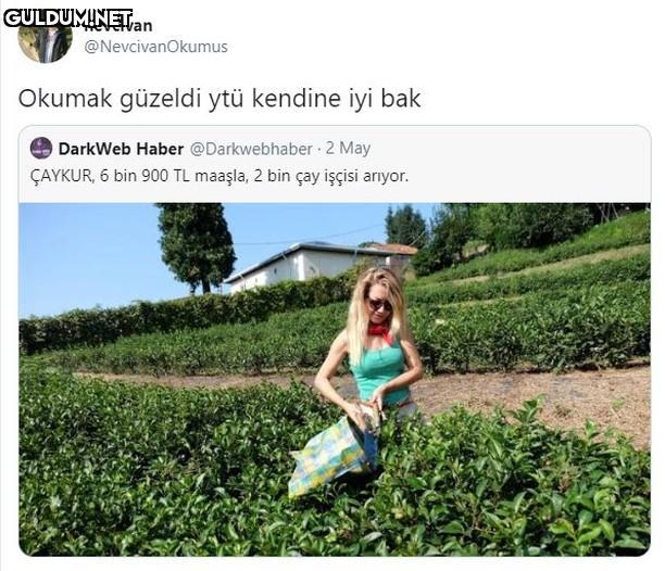 nevcivan @NevcivanOkumus...