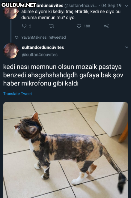 sultandördüncüvites...