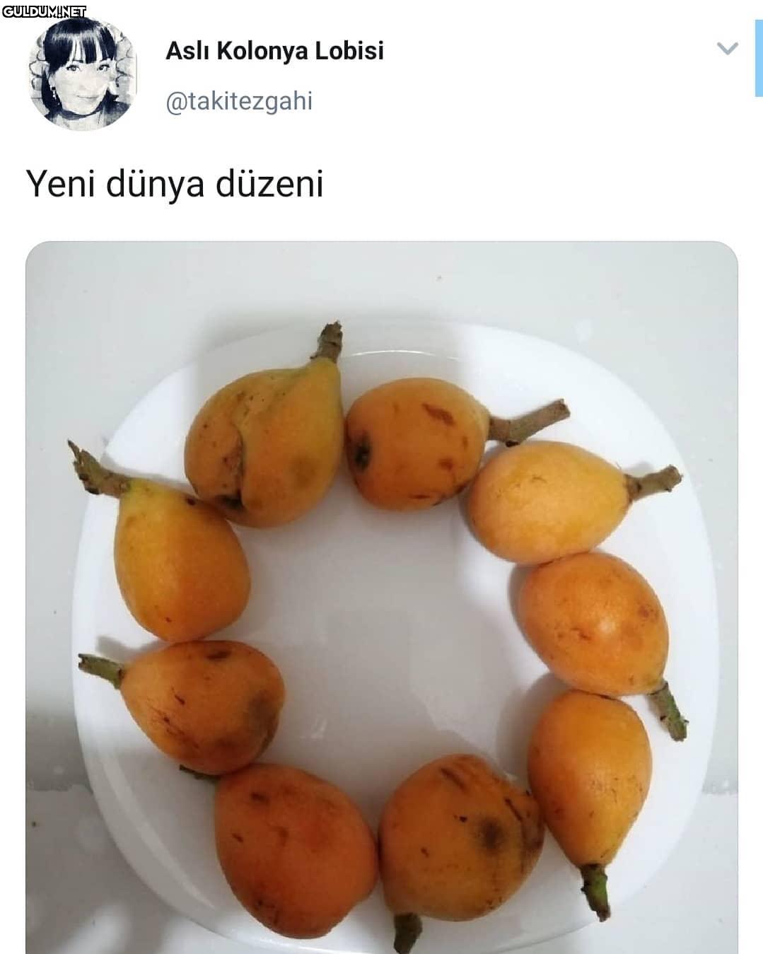 Aslı Kolonya Lobisi...