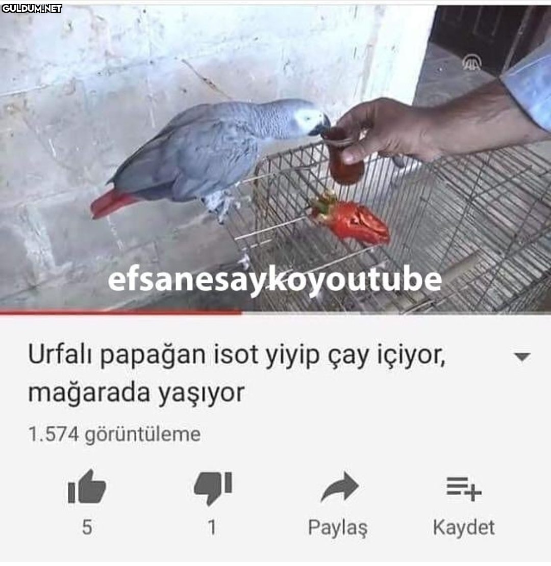 efsanesaykoyoutube Urfalı...