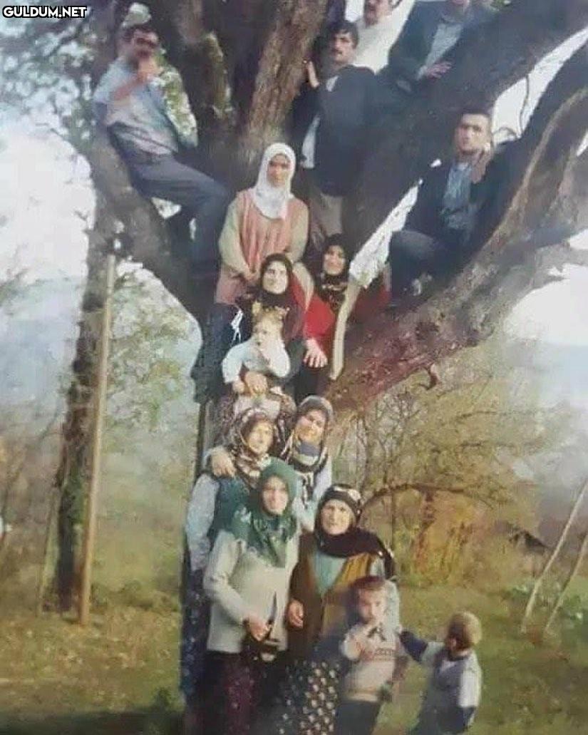 facebook arkadaş listem