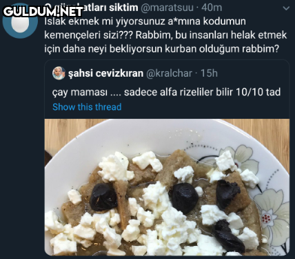 O güzel atları siktim...