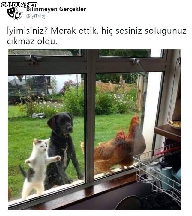 Bilinmeyen Gerçekler...