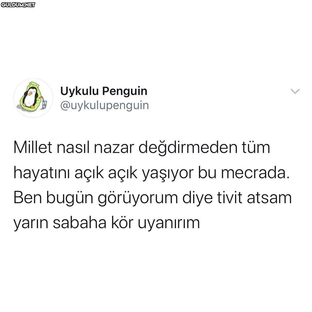 Uykulu Penguin...