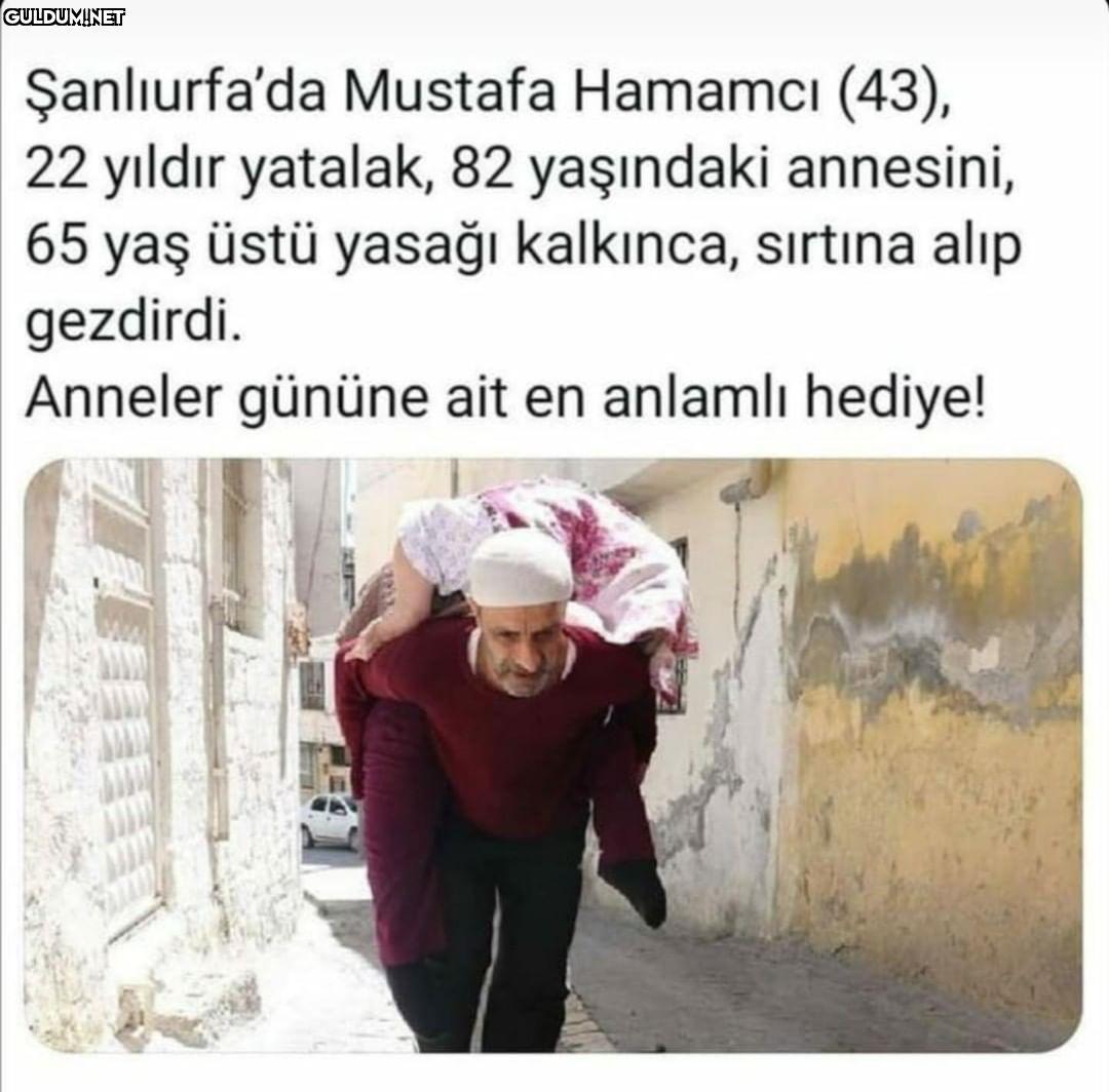 Şanlıurfa'da Mustafa...