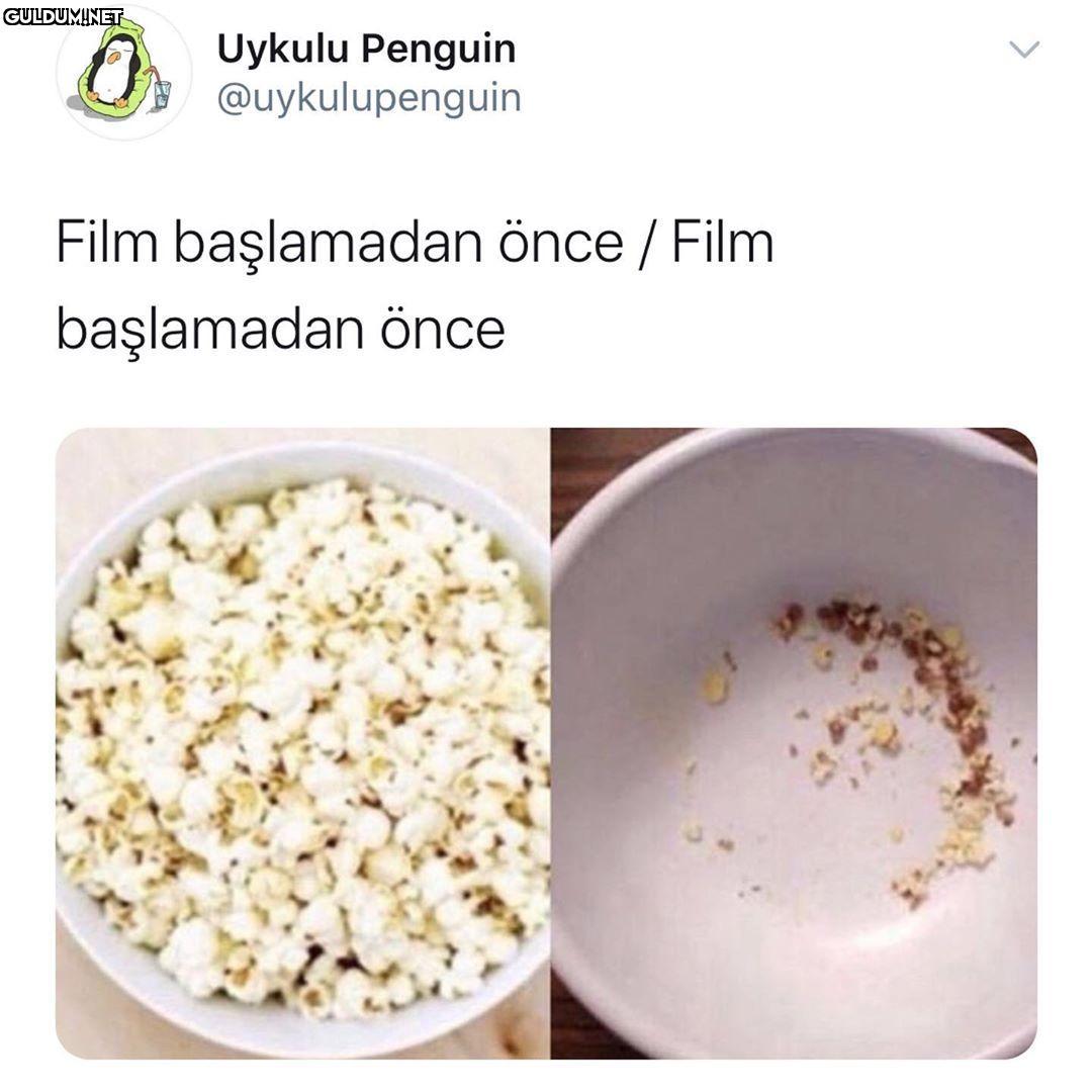 Uykulu Penguin G...