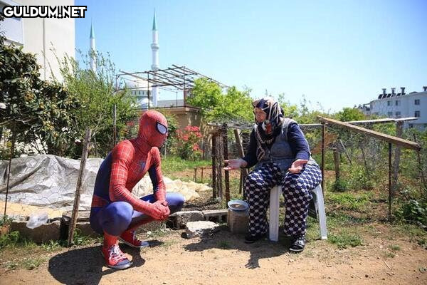 Spider man ve pamuk nine...